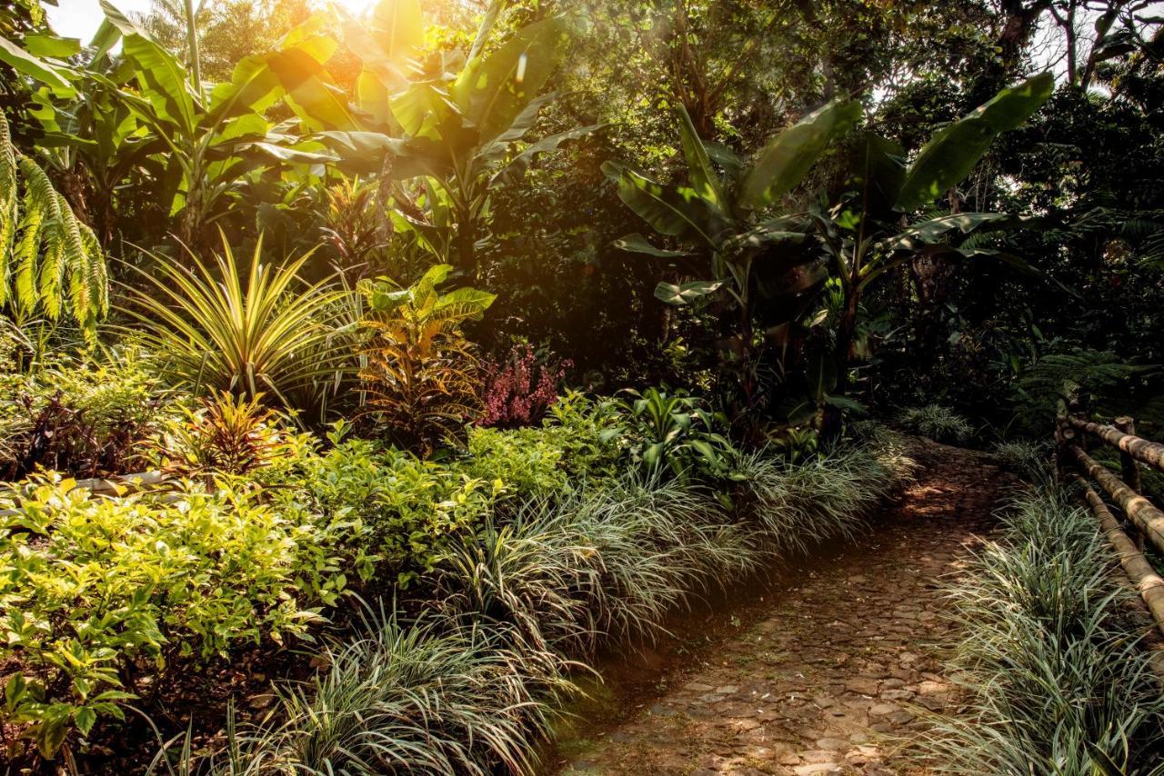 Argovia Ecolodge Hotel Tapachula