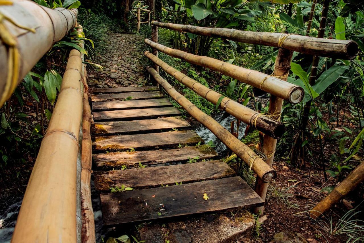 Argovia Ecolodge Tapachula