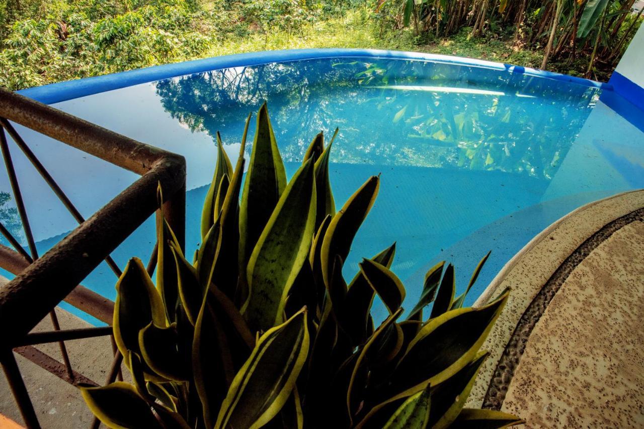 Argovia Ecolodge