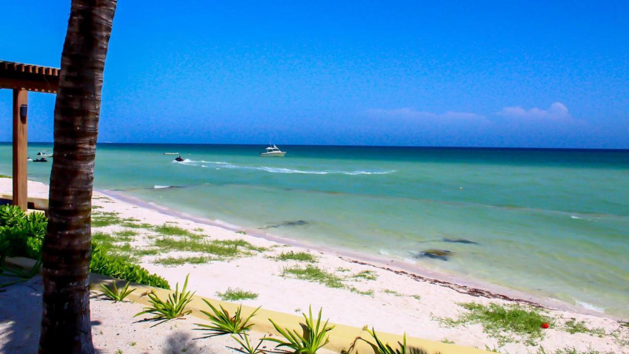Icaria Luxury Holiday home