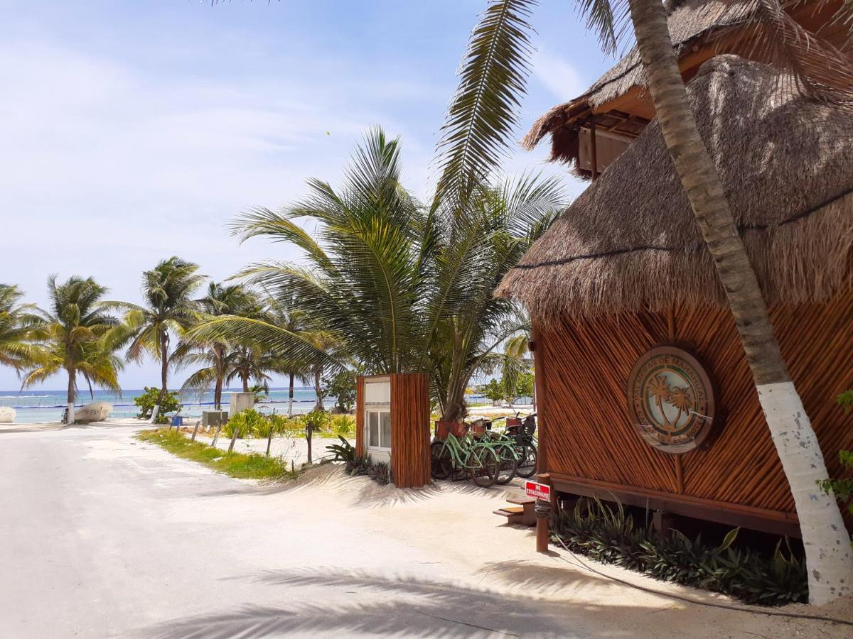 Lodge Palmeras De *
