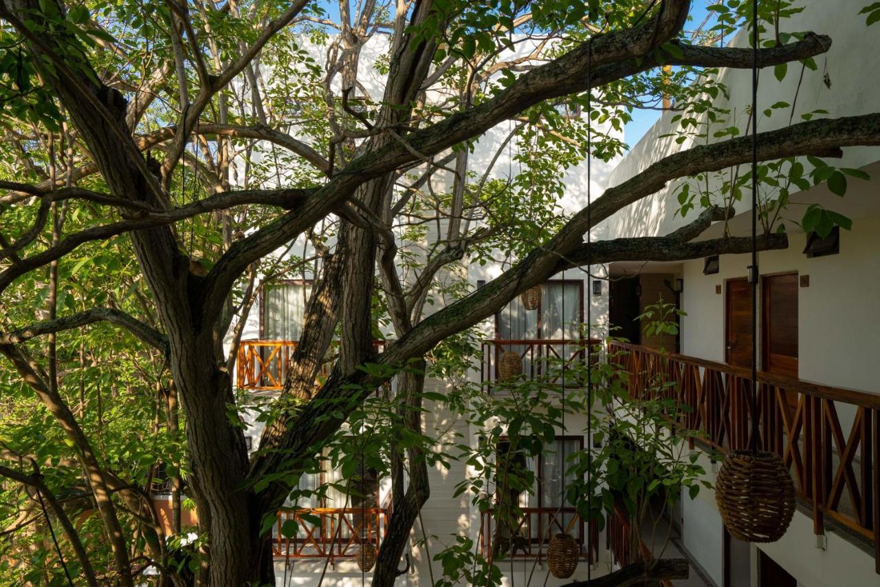 Ciye Hotel San Francisco (Nayarit)