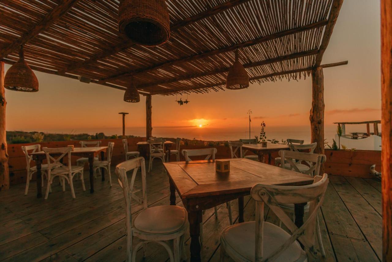Nest Baja Hotel San Jose del Cabo