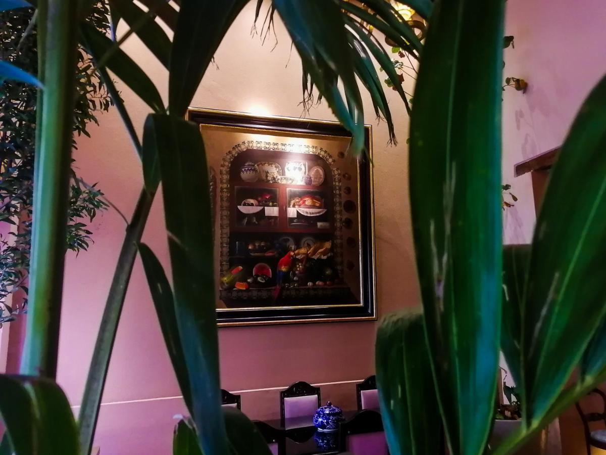 Hotel Casona Alonso 10- Hotelito Mexicano