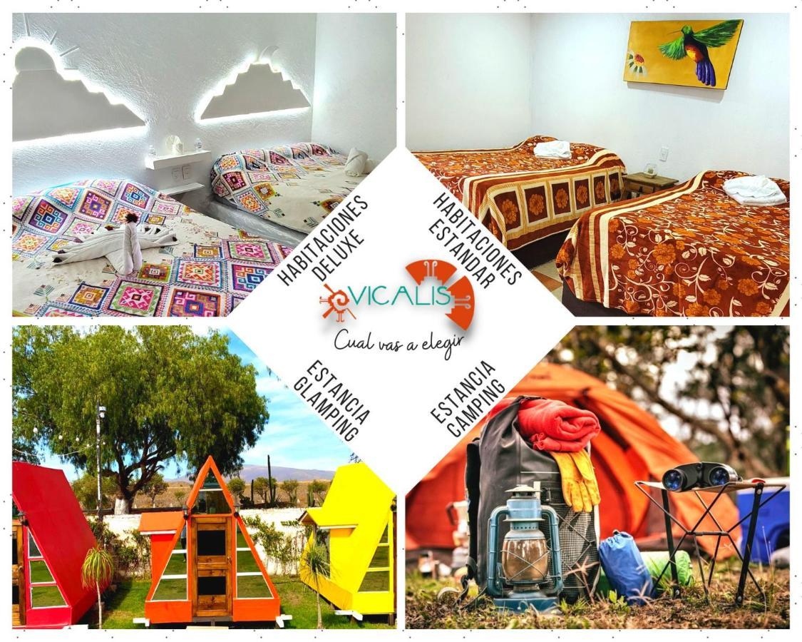 Vicalis Hotel