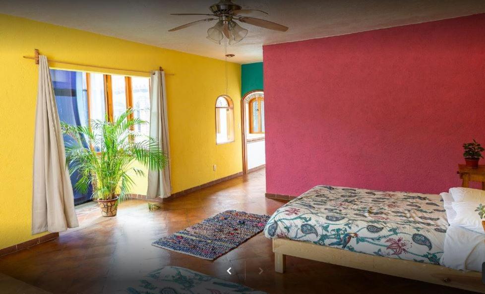 Colibri Turquesa 3*