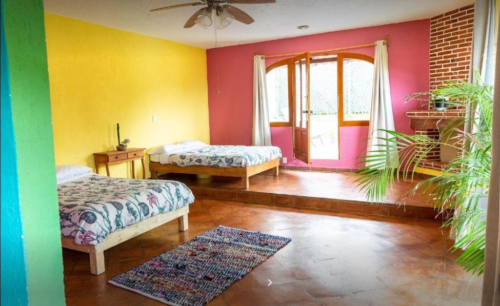 Colibri Turquesa 3* Tepoztlan
