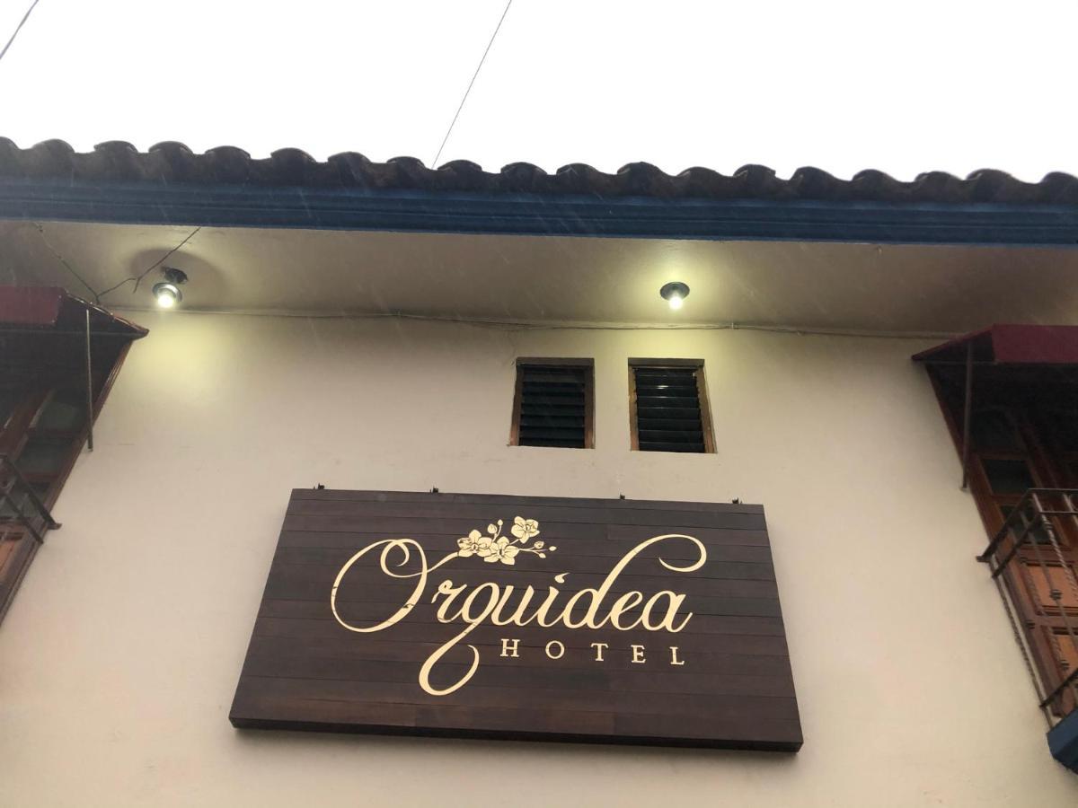 Orquidea