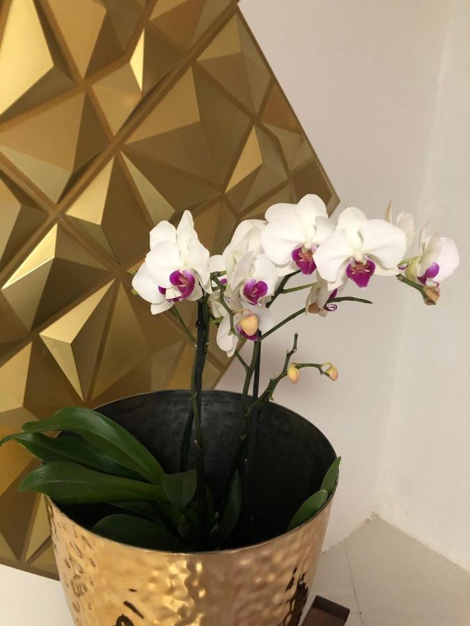 Orquidea Hotel