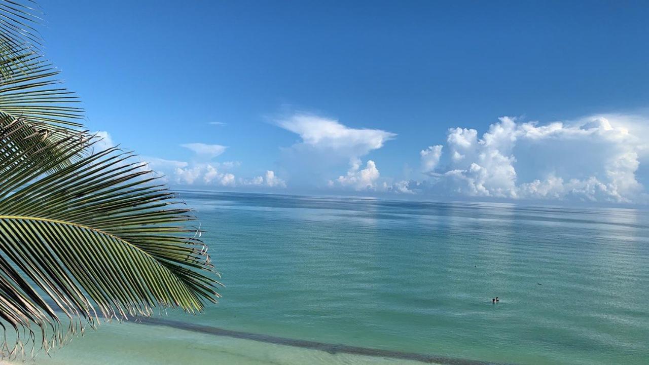 Departamento Medina * Progreso (Yucatan)