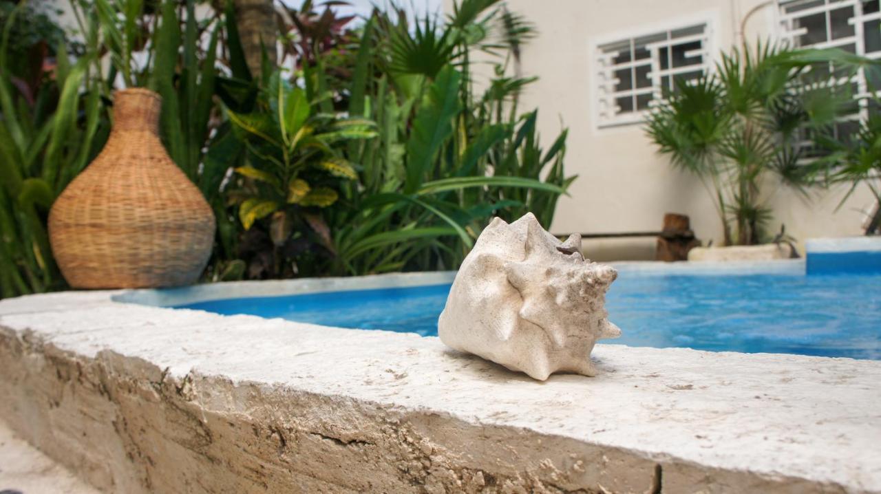 Guest house Kika 3*