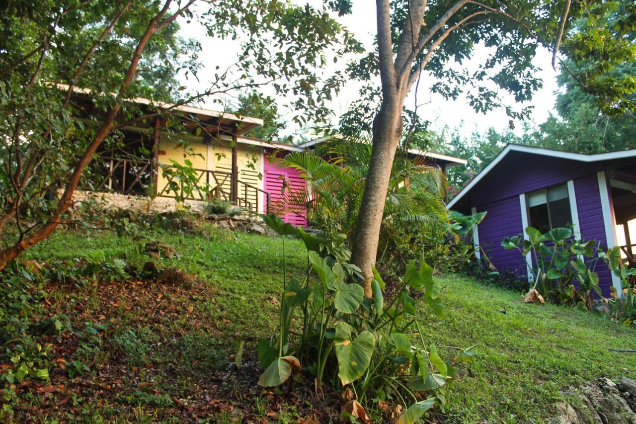 Lodge Winika Alterra