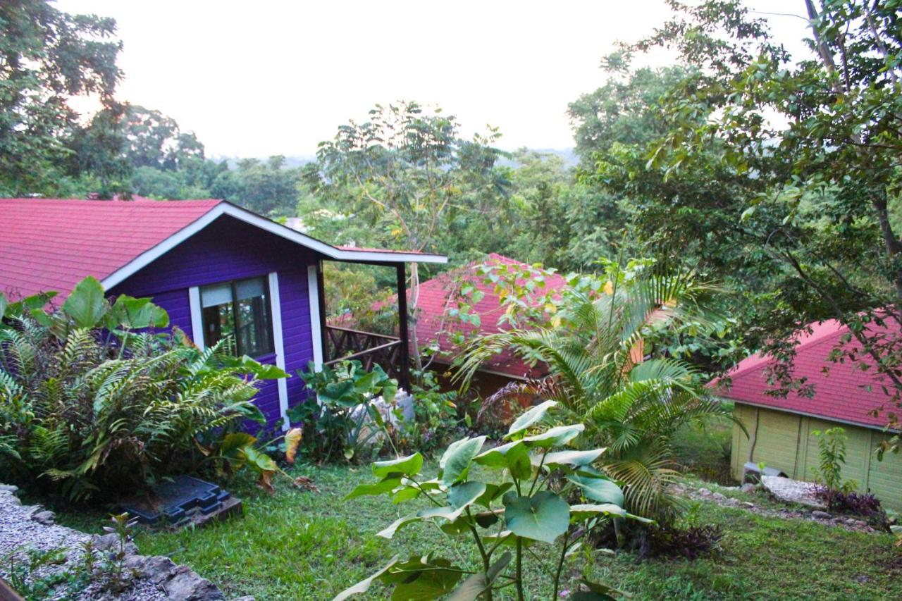 Winika Alterra Lodge Palenque