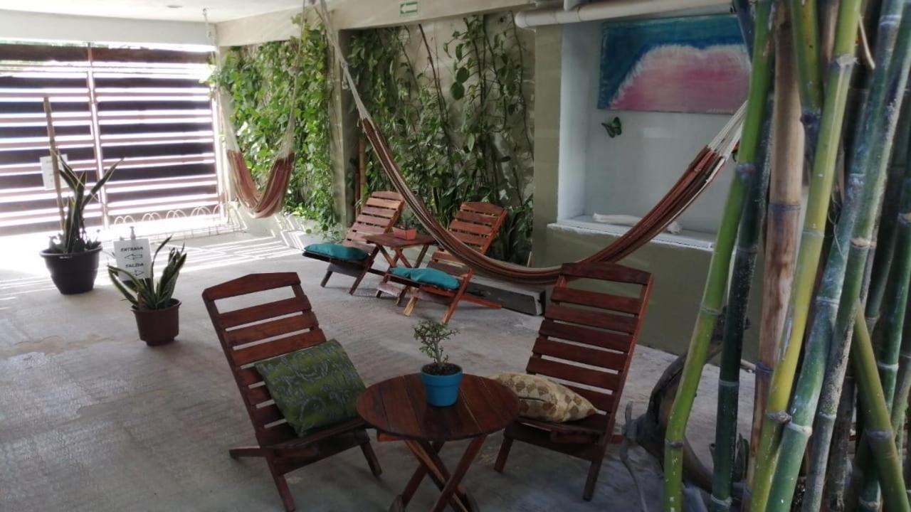 Jardin * Mahahual