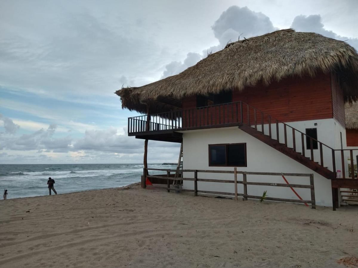 Alta Mar Guayabas
