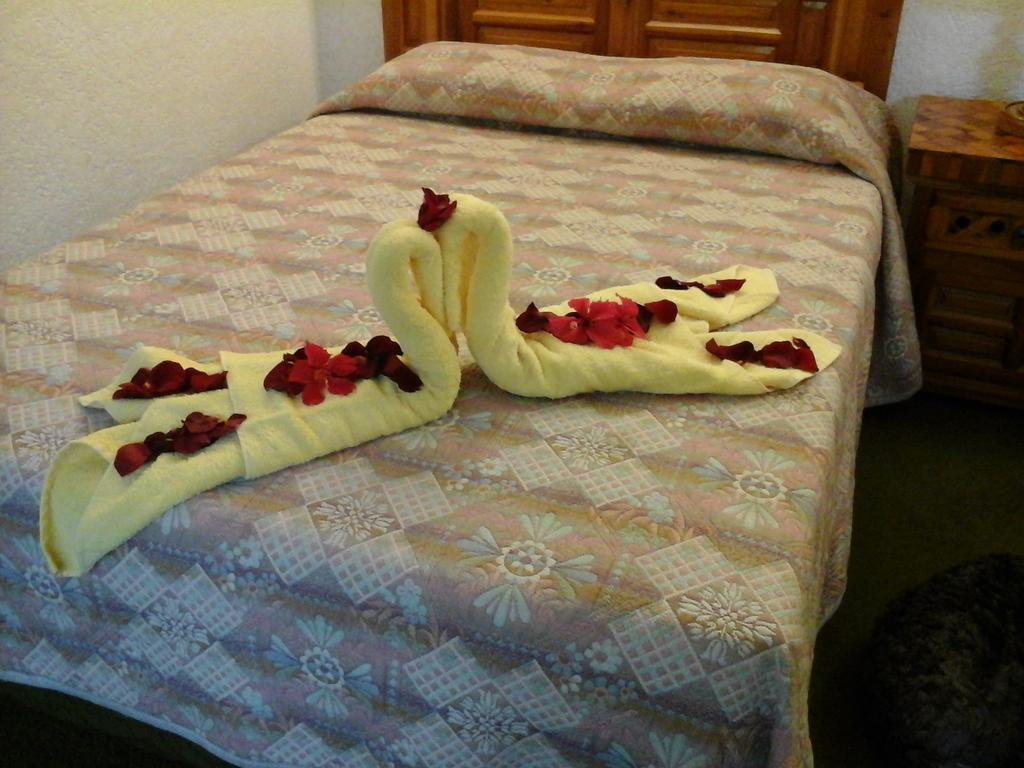 Hotel Ideal Rotamundos