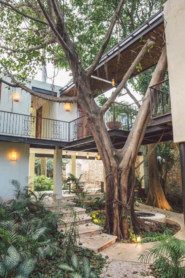 Treehouse Boutique Hotel, An Adults Only Boutique Hotel Merida