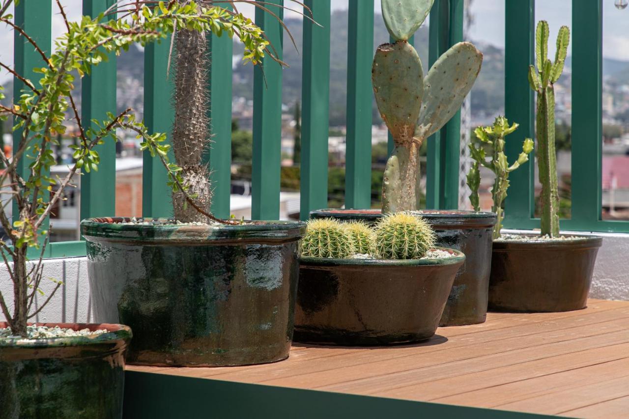 Holt - Noria - La Casa Del Barro Oaxaca
