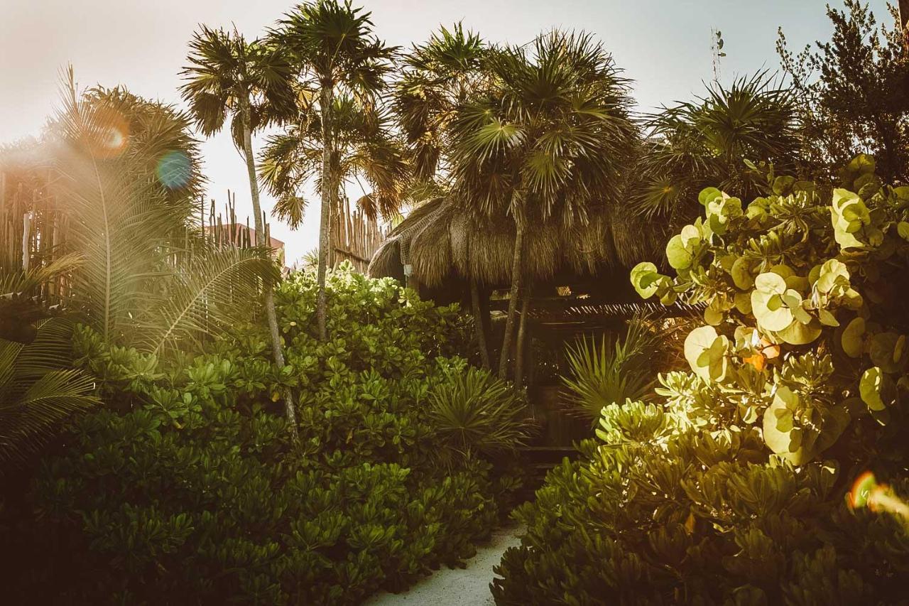 Jashita Hotel (Adults Only) Tulum