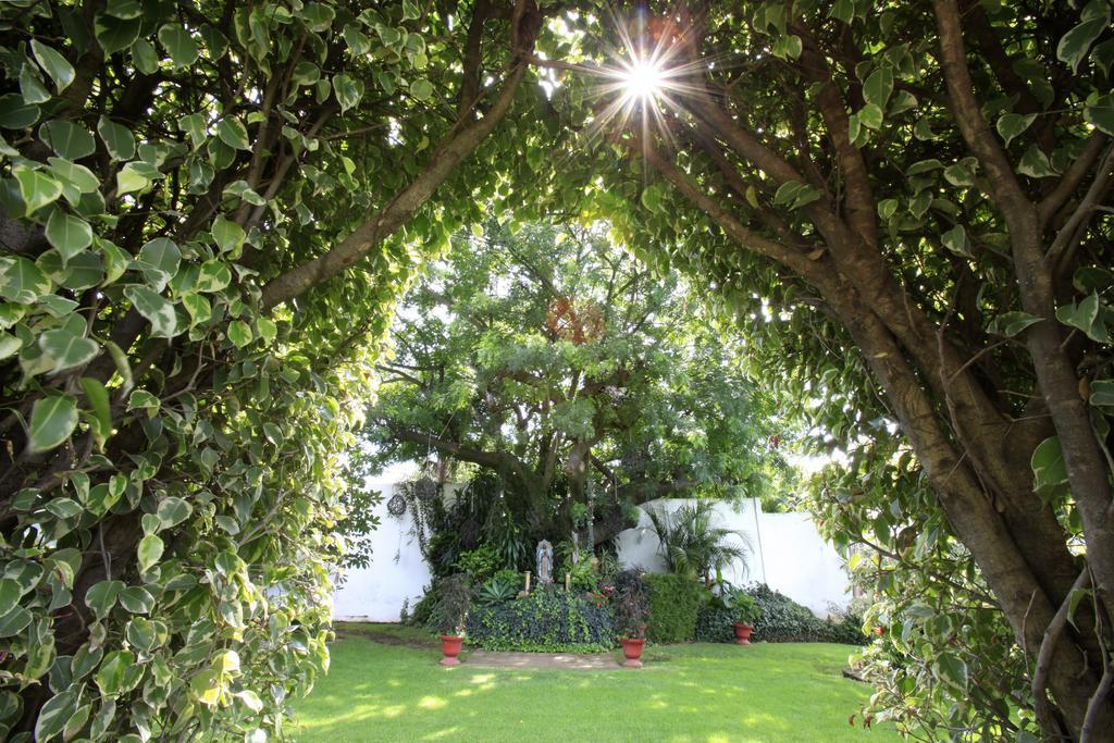 Bejar 5* Cuernavaca