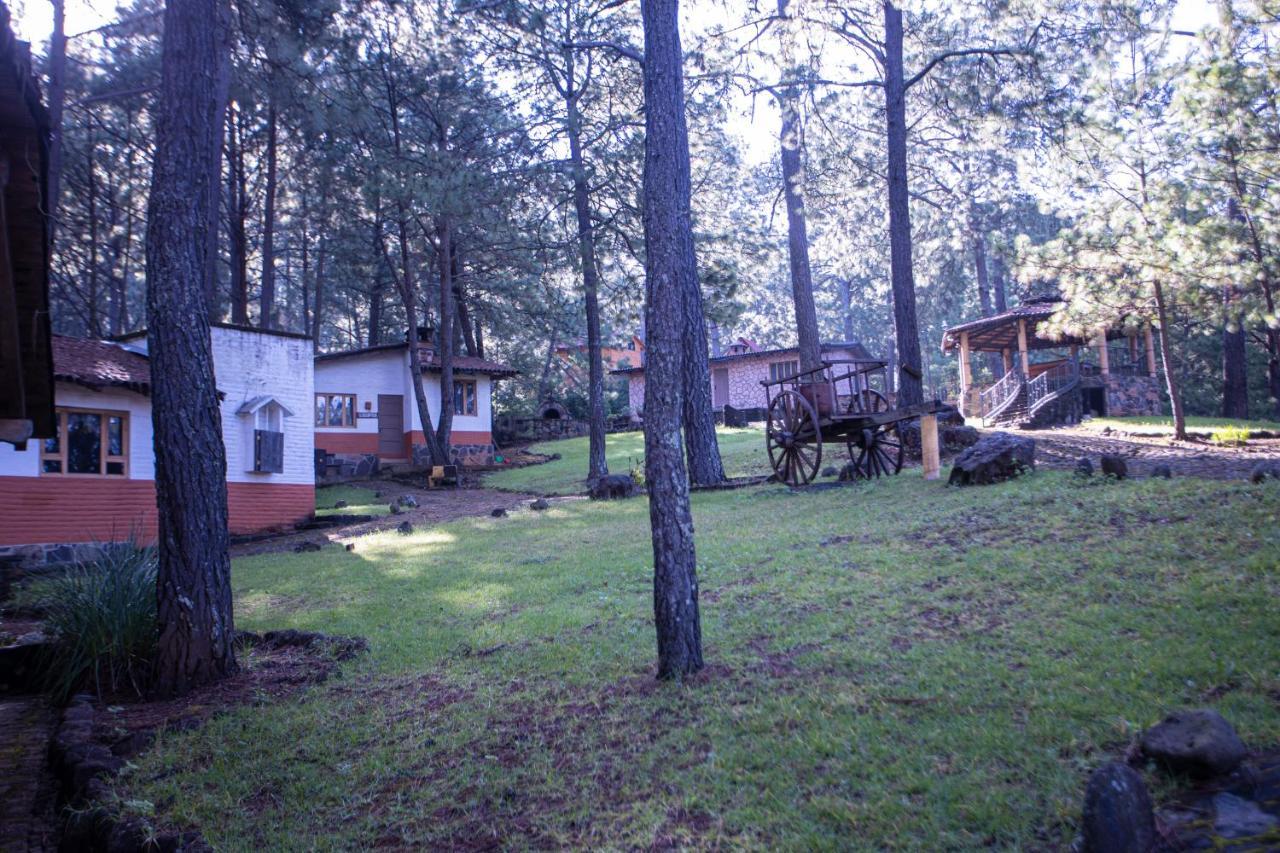 Lodge Ruizsenor *