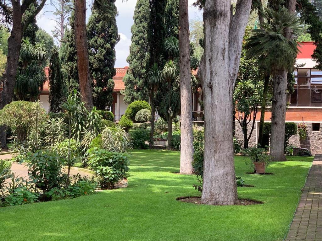 Express Quinta Soledad Guest house *