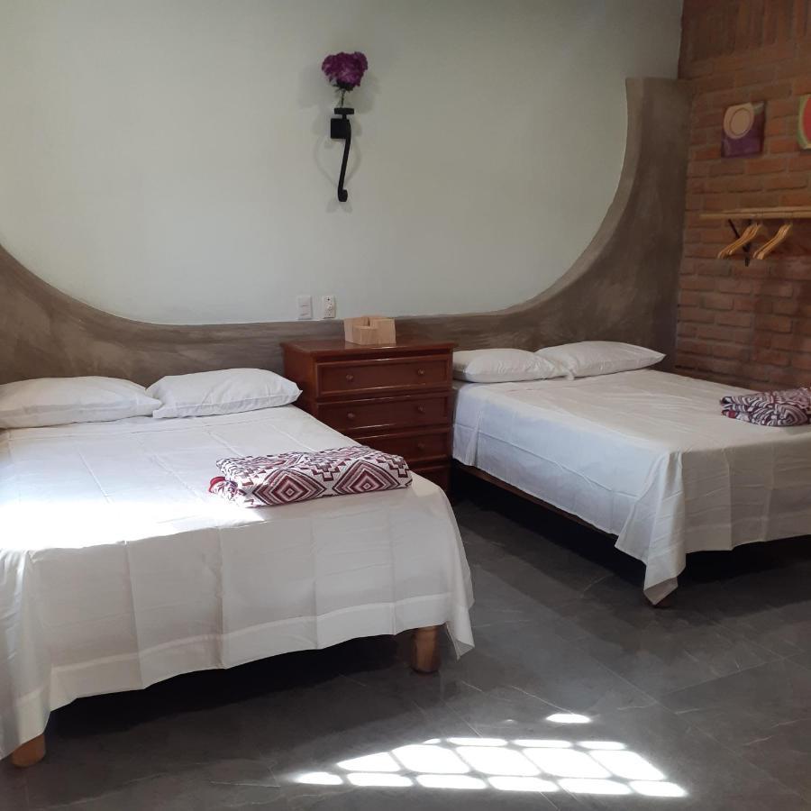 Apartment Loft Con Jardin Amplio 3 *