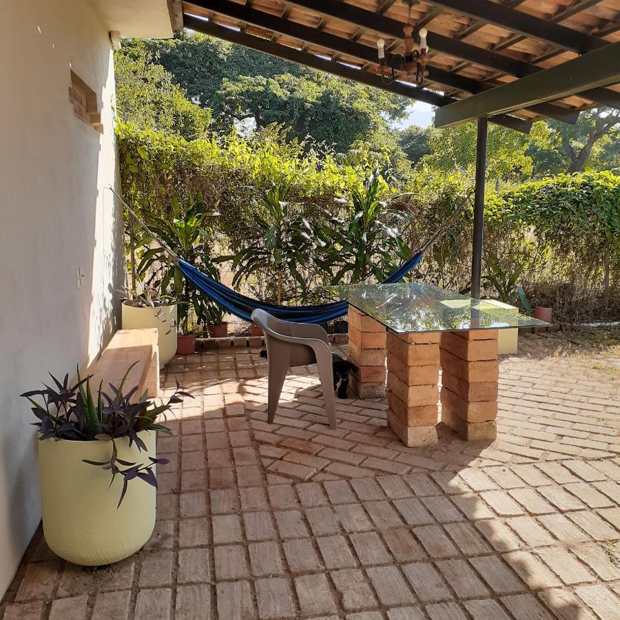 Loft Con Jardin Amplio 3 Apartment