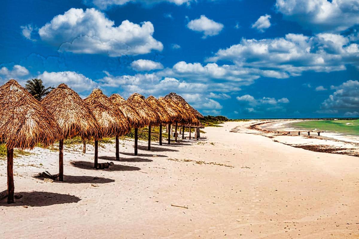 Beachfront Hacienda Del Cuyo El Cuyo