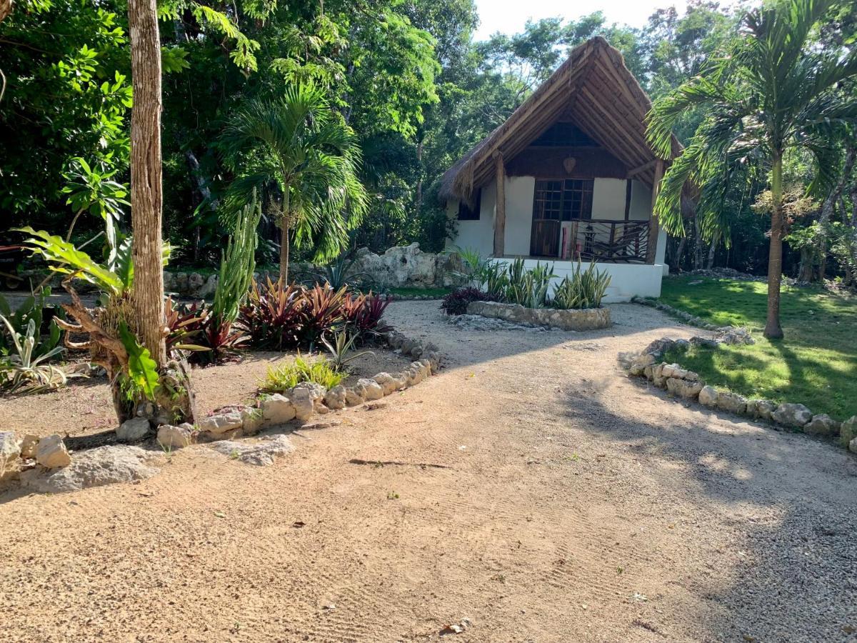 Morena Boutique Ecoliving Hotel 4*