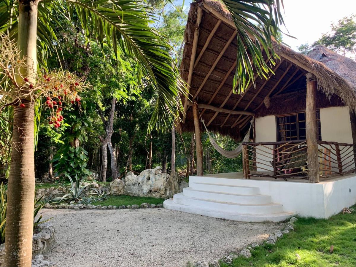 Morena Boutique Ecoliving 4*