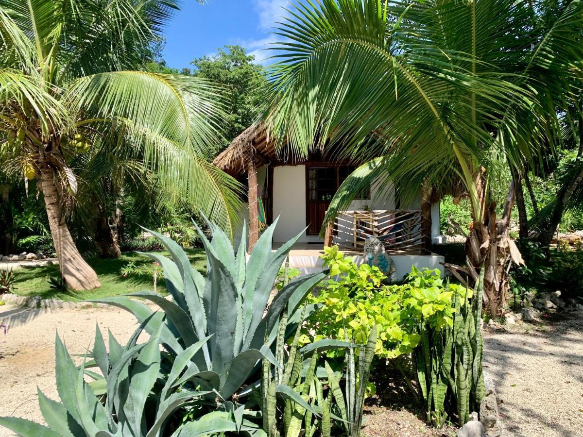 Morena Boutique Ecoliving 4* Akumal