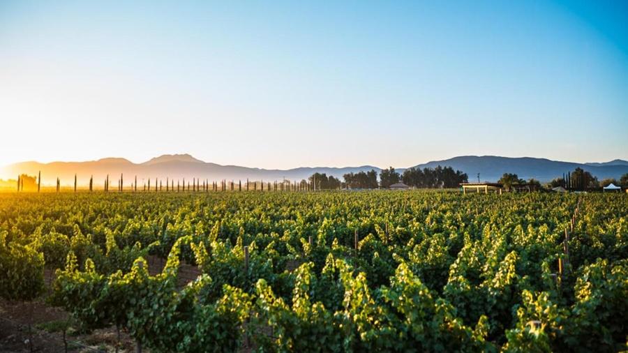 El Cielo Winery & 5*
