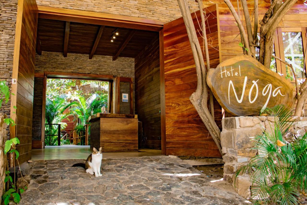 Noga 2* Zipolite