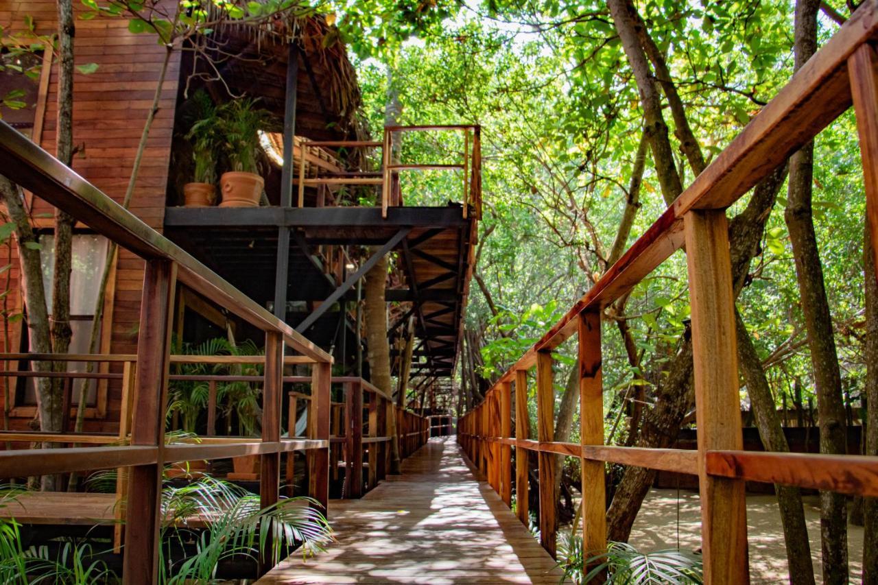 Noga Zipolite