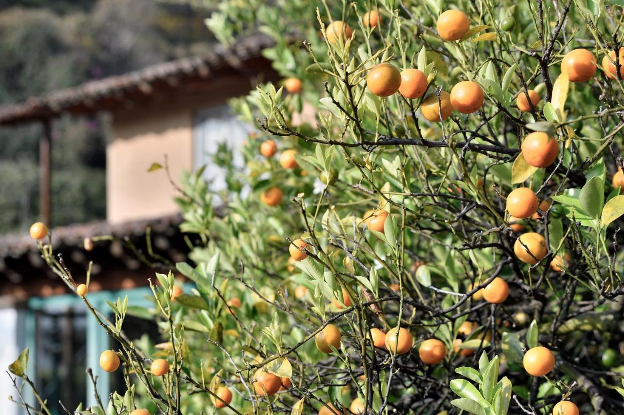 Bed & Breakfast Quinta Cielo - Boutique Y Restaurante 3*