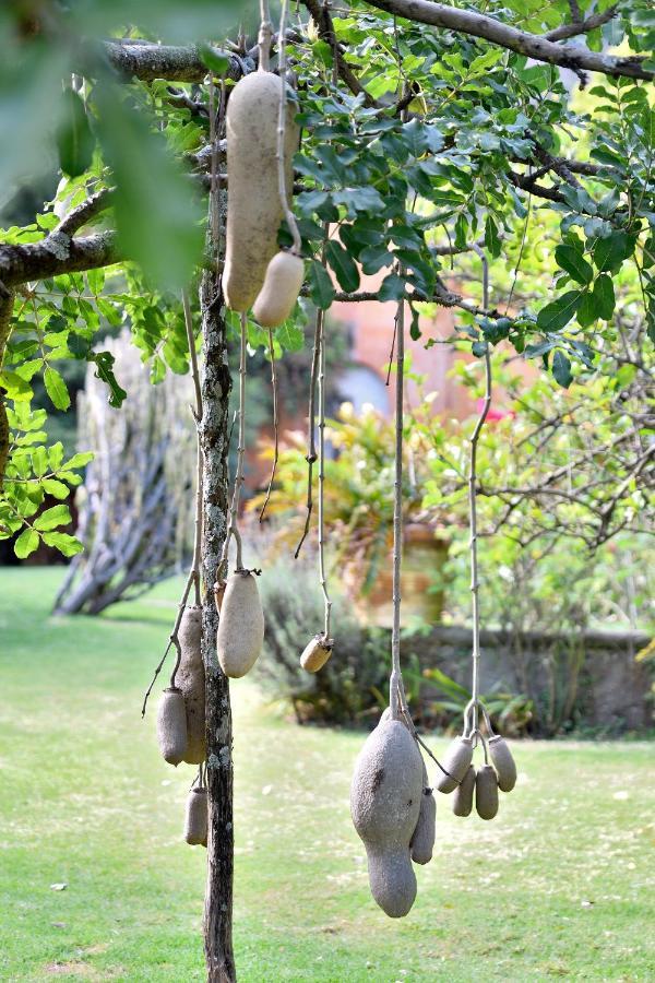 Quinta Cielo - Boutique Y Restaurante