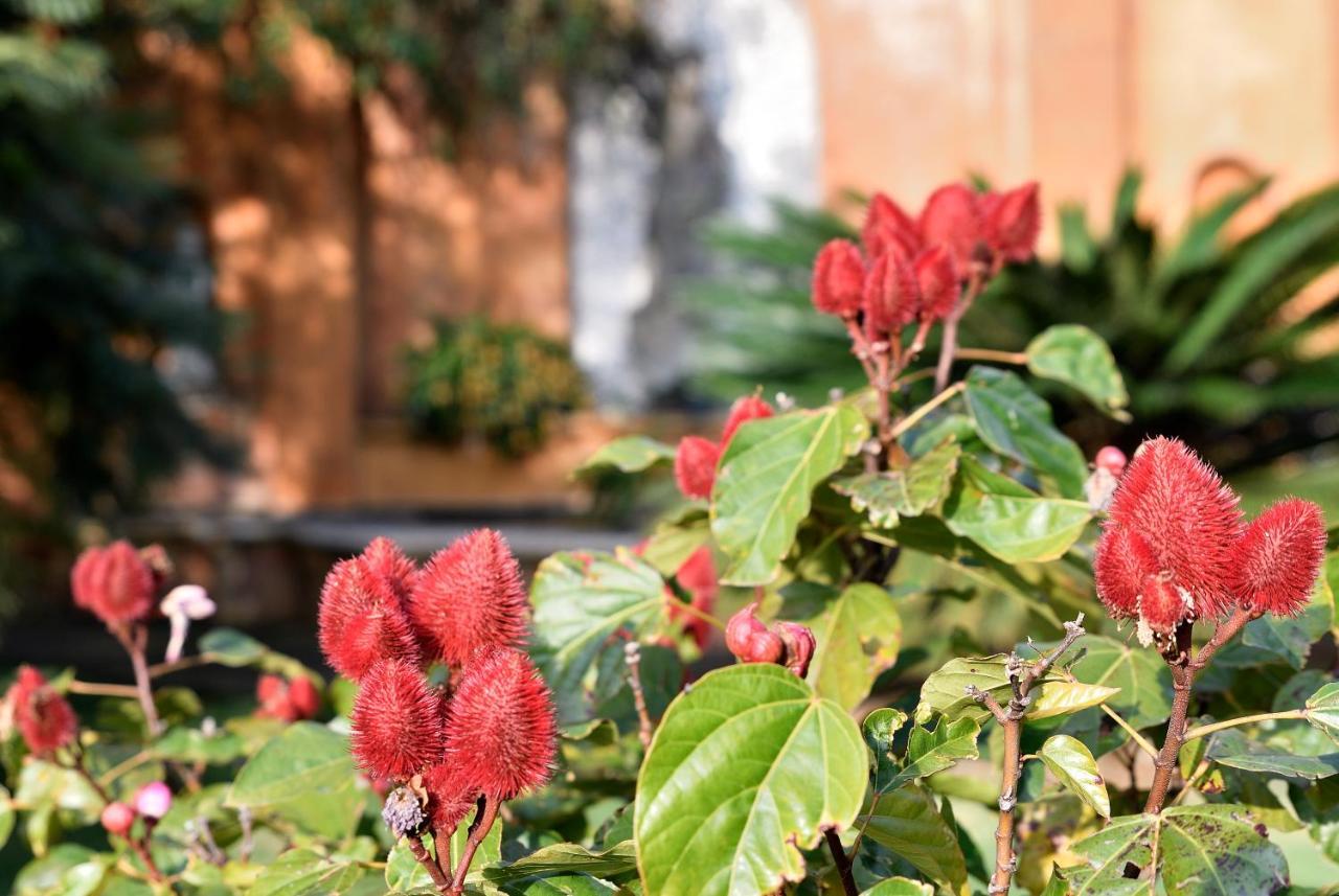 Quinta Cielo - Boutique Y Restaurante Bed & Breakfast Malinalco