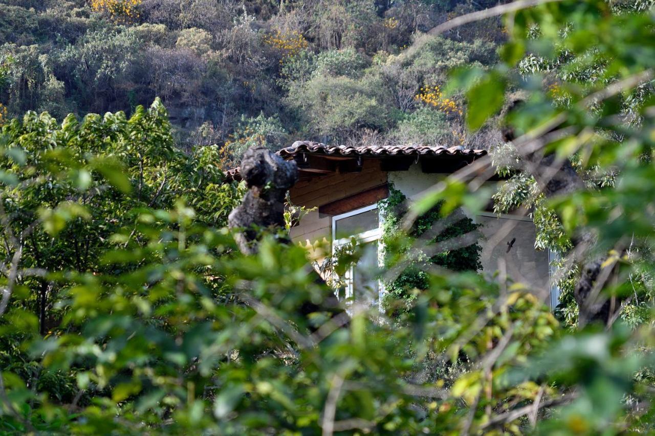 Quinta Cielo - Boutique Y Restaurante Bed & Breakfast Malinalco