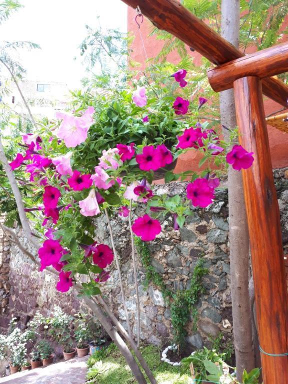 Casita Privada Del Chan *