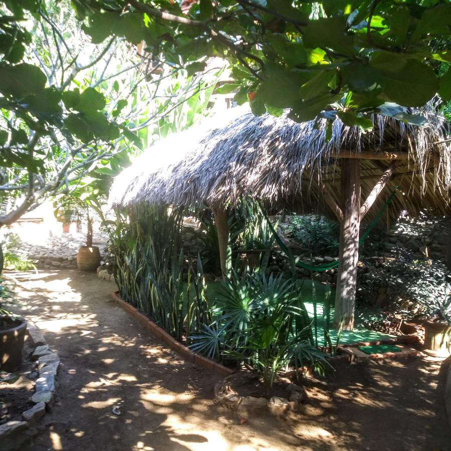 Hotel Olivo Mazunte