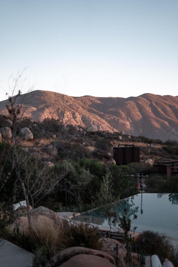 Encuentro Guadalupe 4*
