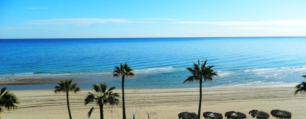 Sonoran * Puerto Penasco