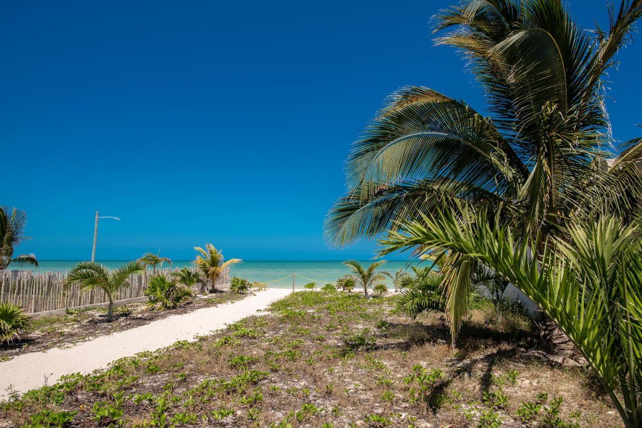 Hermoso Depatamento En Playa Progreso Apartment Chicxulub