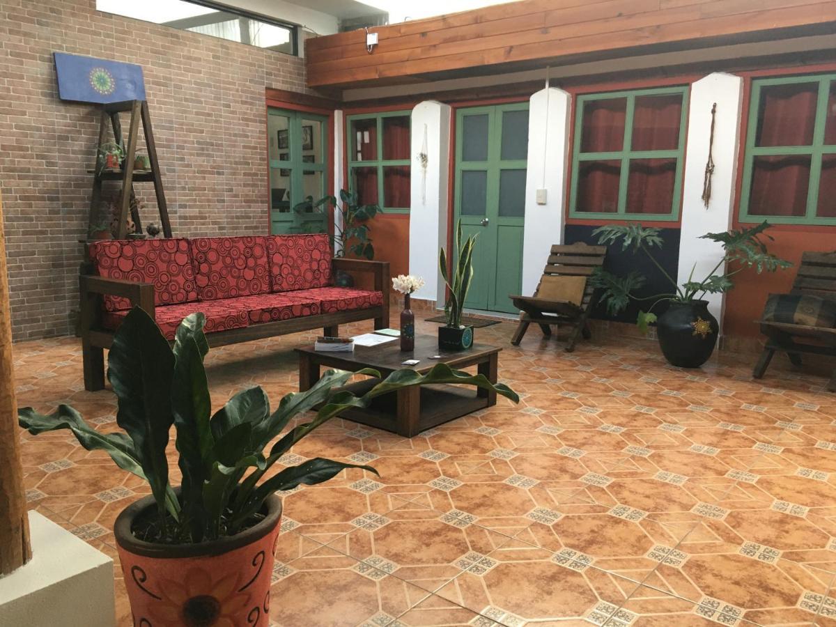 Casa Flor De Vida Guest house