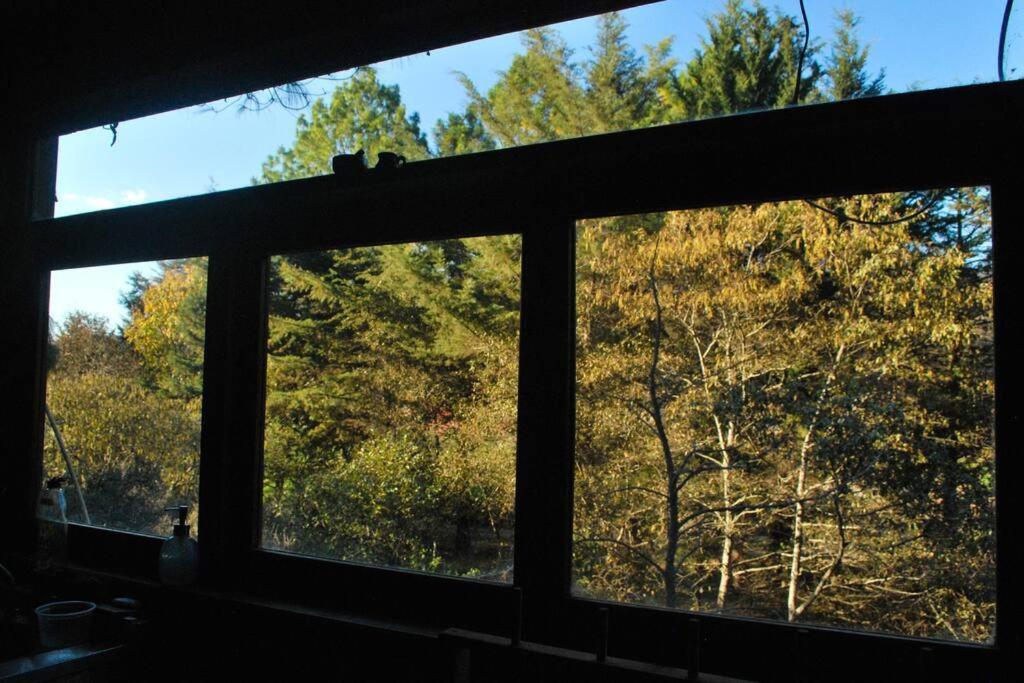 Casa 4 Estaciones, Coliving & Nature Hostel *
