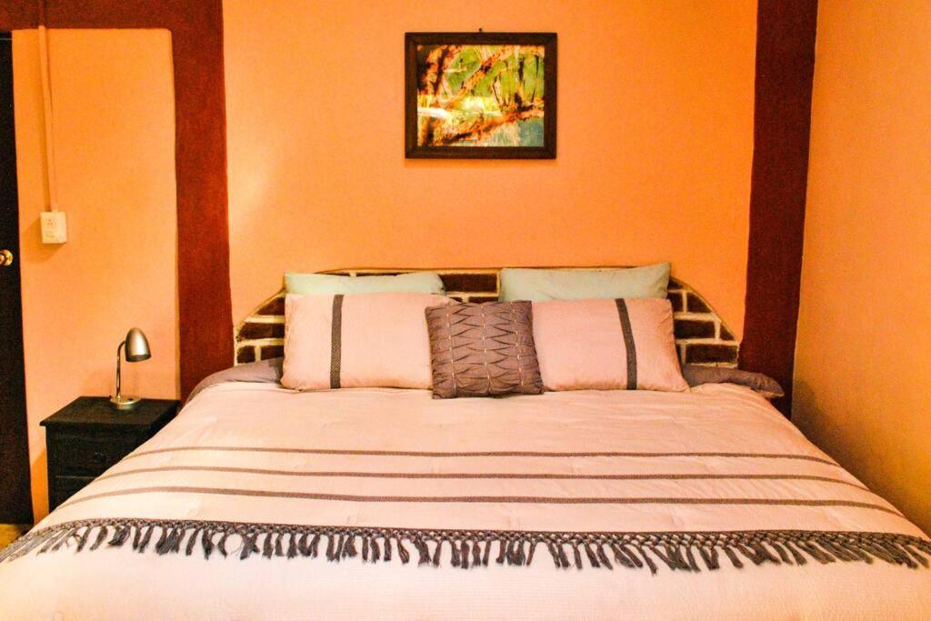 Casa 4 Estaciones, Coliving & Nature San Cristobal de las Casas