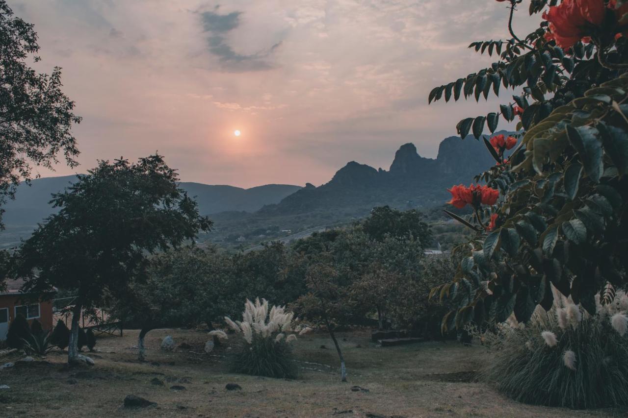 Amara Lodge *