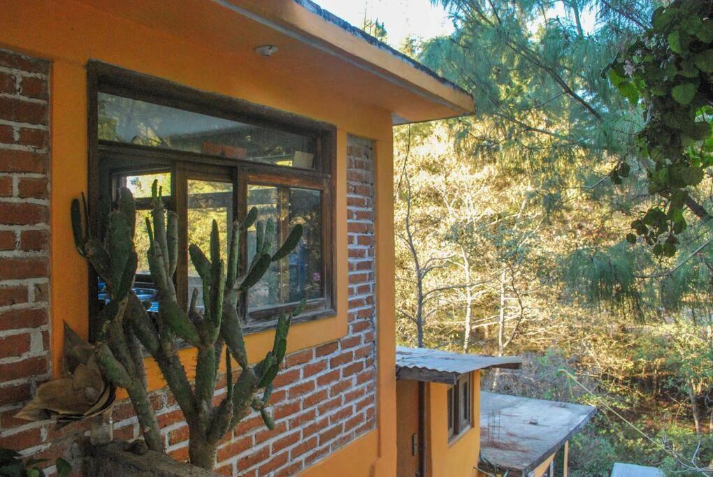 Hostel Casa 4 Estaciones, Coliving & Nature