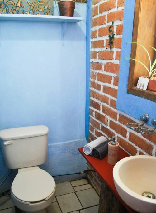 Casa 4 Estaciones, Coliving & Nature Hostel *